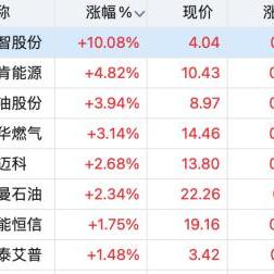 仁智油服最新公告全面解读