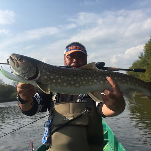 钓鱼发烧友攻略大全最新版