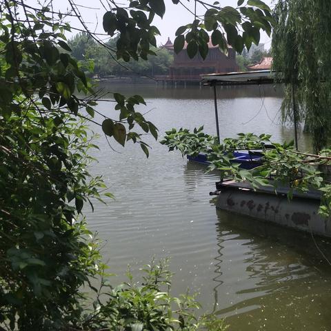 兖矿集团领导班子最新配置概览