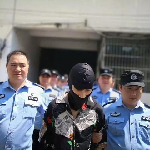 陕西山阳县最新新闻动态报道速递