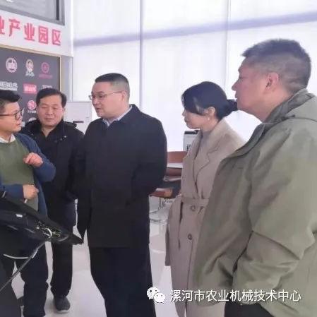 漯河大蒜价格走势分析