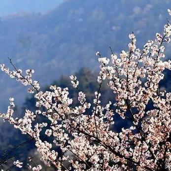 湖北快三最新开奖分析与观察，揭秘彩票走势！