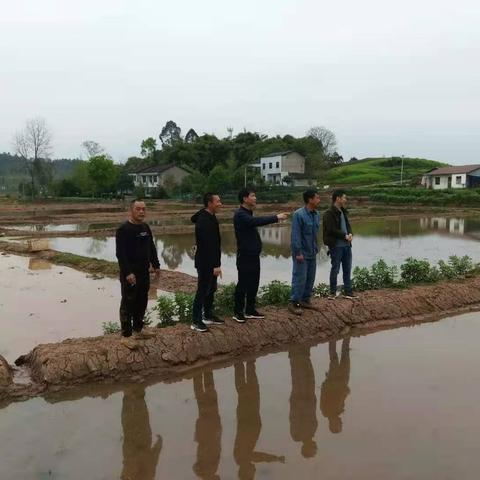 枣山园区红庙动态更新
