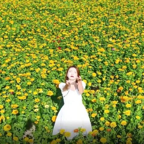 杨牧诗歌奖最新动态，聚焦诗歌之光，文学繁荣新动力