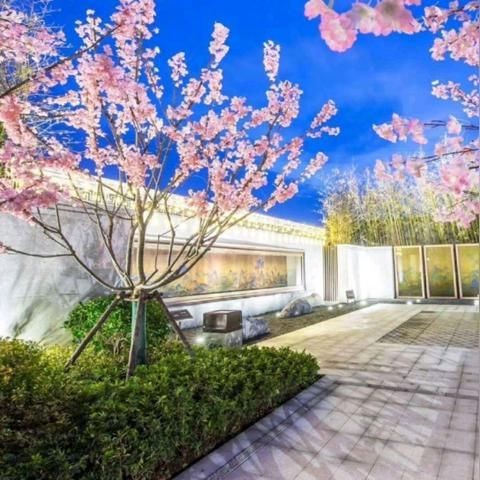 全椒楼盘最新动态与价格概览