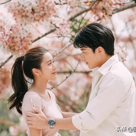 最新泰剧更新盘点,热门泰剧全览