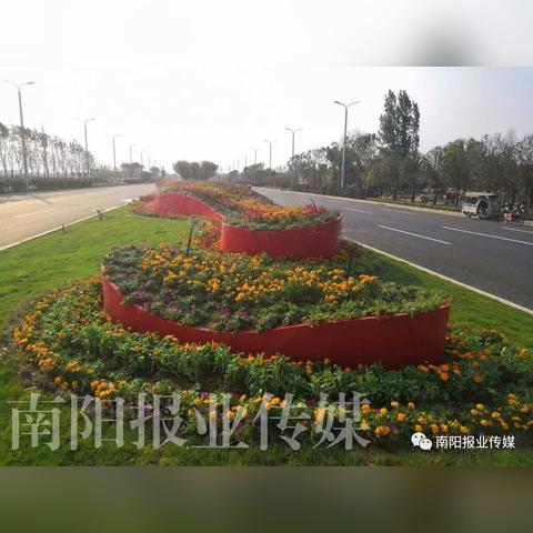 南阳李高路最新进展情况