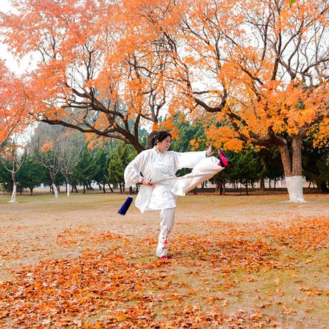 大连枫叶集团招聘启事