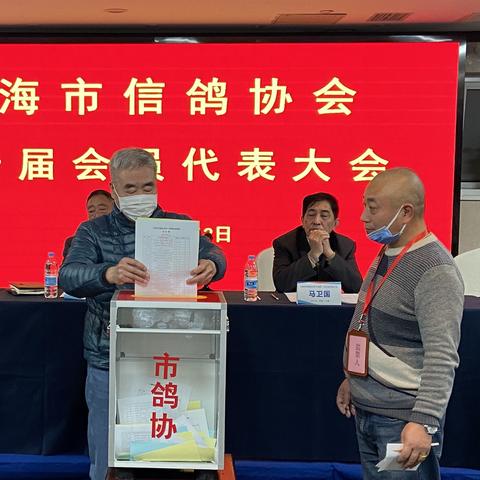 上海信鸽交易市场最新动态概览