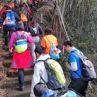 进化镇最新领导班子概况介绍