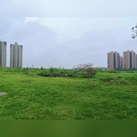 映月华府房价最新动态分析