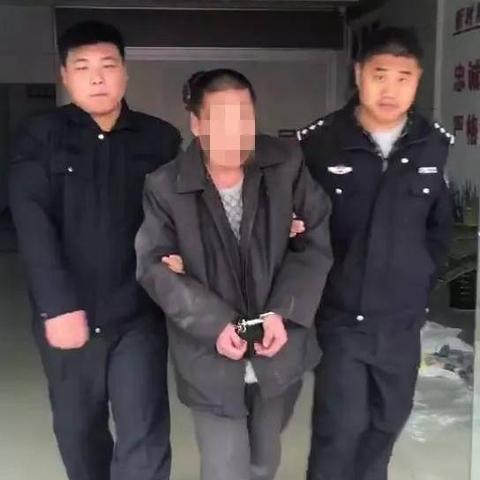 兰陵县鲁城镇最新资讯速递