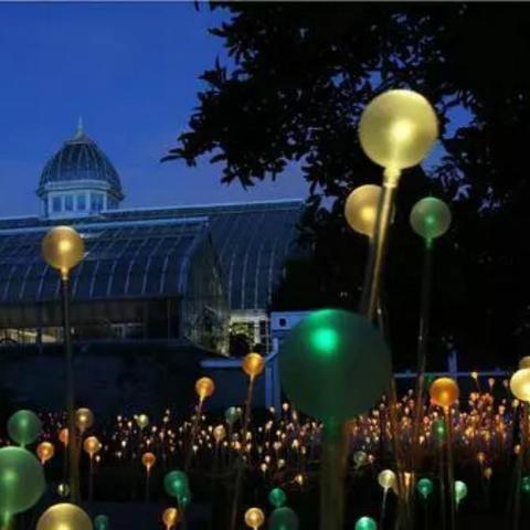 夜经济繁荣脉络深度探索，夜色资源最新地址揭秘