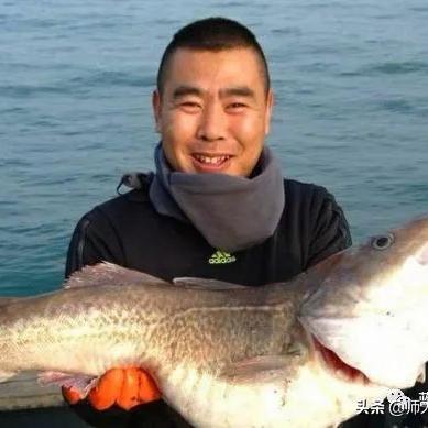 最新九号台风动态报告