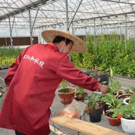 肥西官亭最新新闻动态报道