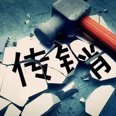 最新资金盘公司全景概览