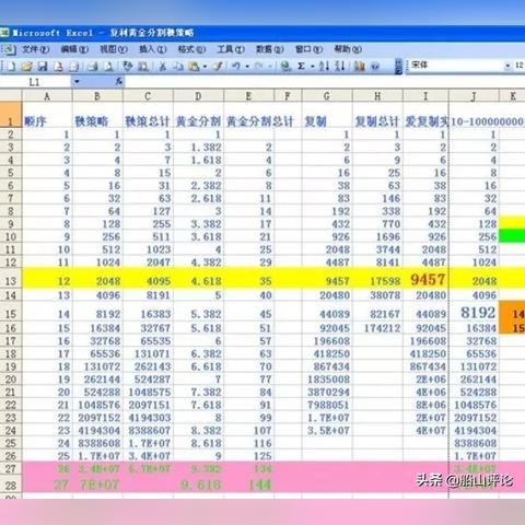 最新资金盘公司全景概览
