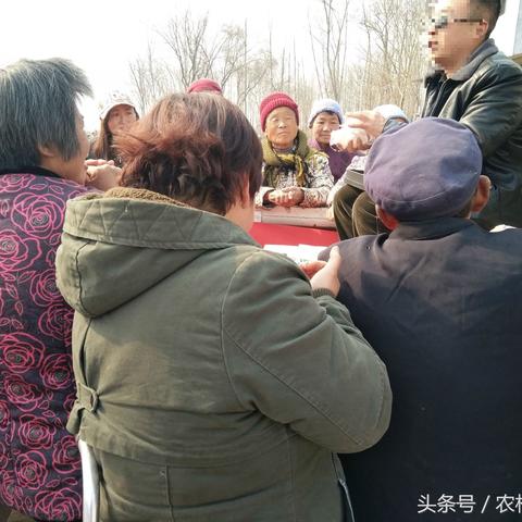 江湖倒插最新讲口视频深度解析