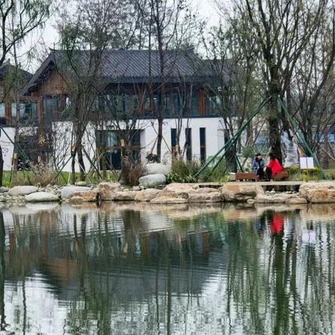 成都武侯区最新规划详解图