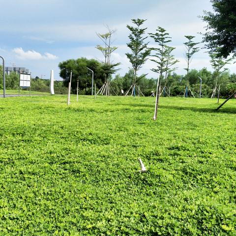 北海投资政策最新解读