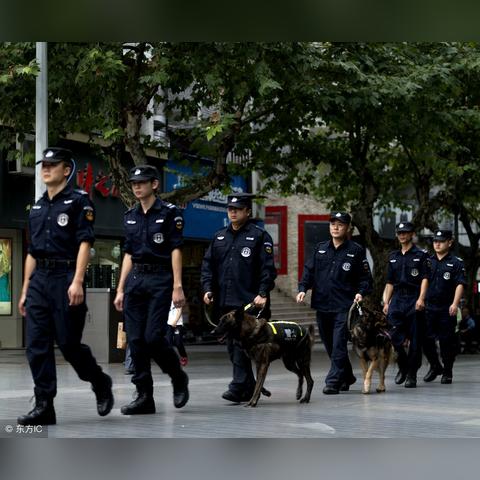 警察岗位津贴调整详解,影响与解读