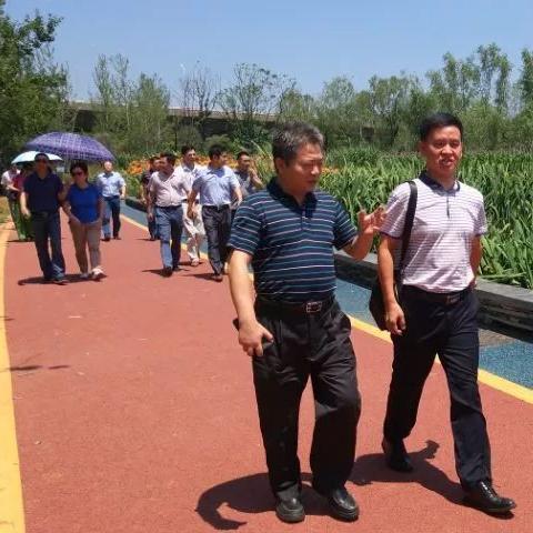 黄石湿地公园建设最新进展报告