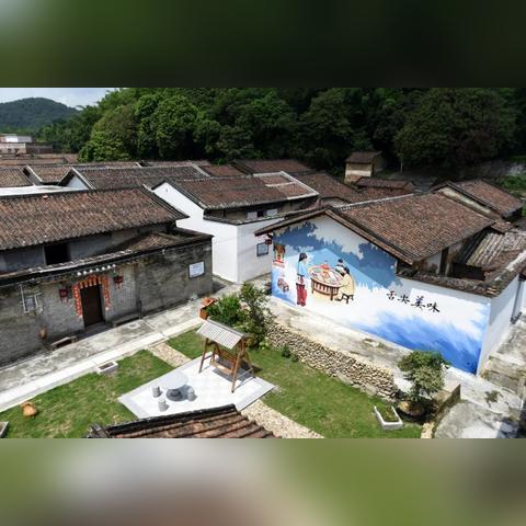 村野小农民最新章节揭秘乡村振兴新篇章