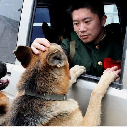 天下军武最新互动揭秘