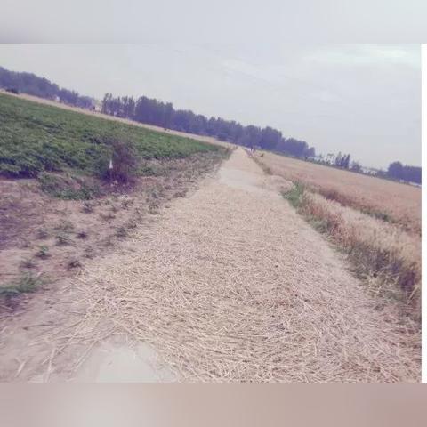 临泉道路最新规划详解图,全面解读规划方案