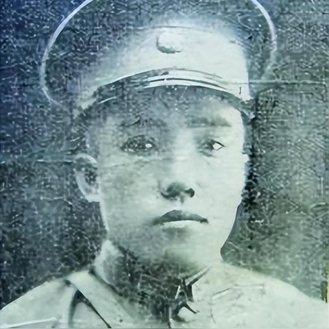 莱芜最新民生新闻动态