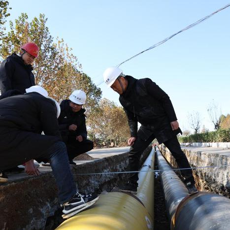 莱芜最新民生新闻动态