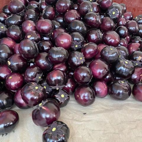 山东胡萝卜最新价格走势分析