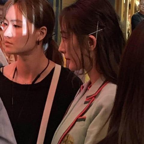 青葱手机最新动态全面解读