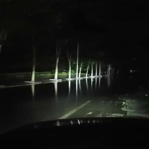 汶上亲水湾房价最新动态分析