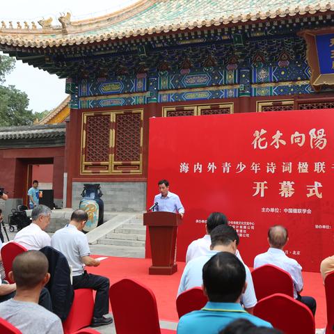 青少年公园最新动态报告