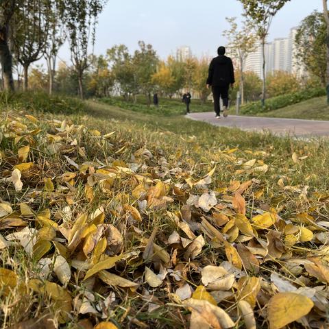 青少年公园最新动态报告