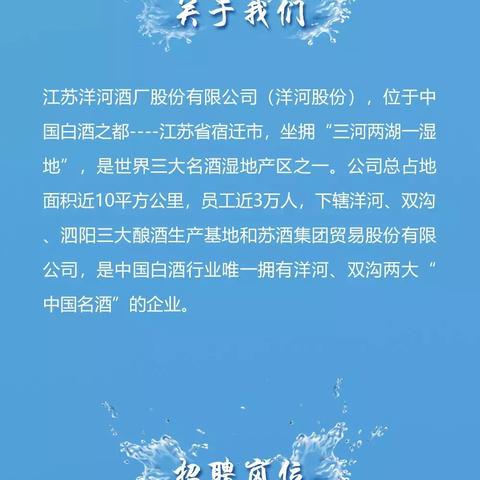 洋河酒厂2025最新招聘启事来袭!职位众多,等你来挑战!
