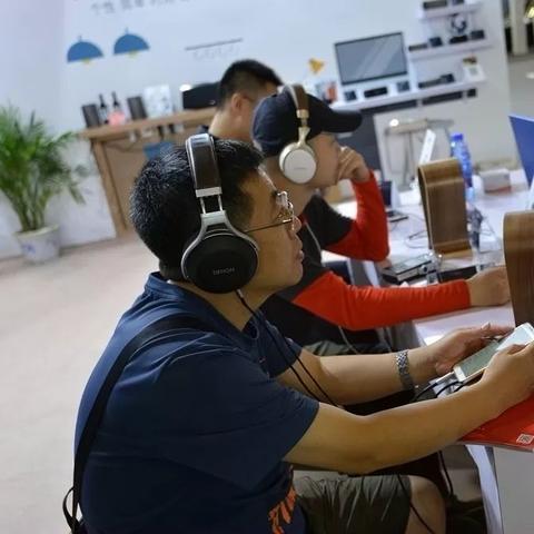 乐图金菊花深度评测报告