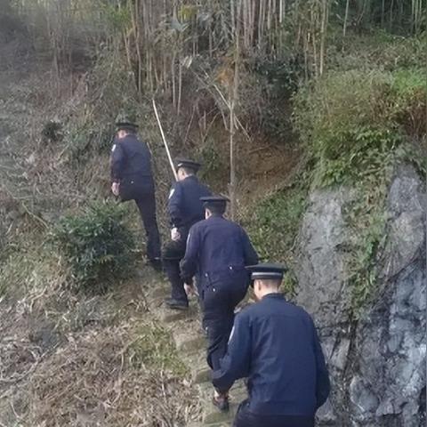 情侣深山私密浪漫时刻，野战视频探索自然之爱