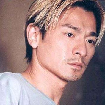 刘德华林志玲联袂新作,期待与惊喜的交融