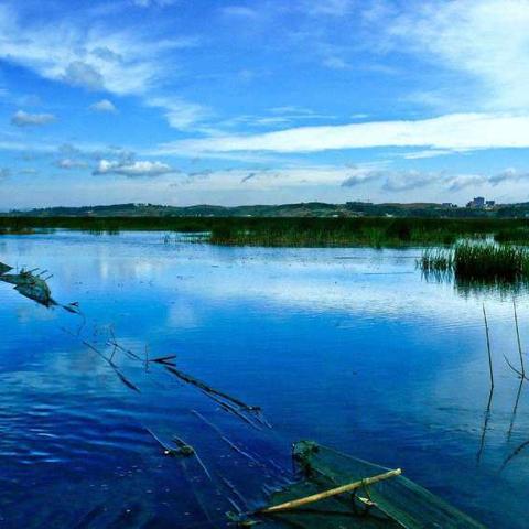 威宁草海机场最新进展报告速递