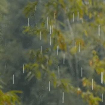 四川渠县最新消息动态