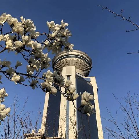 泰达大街最新动态