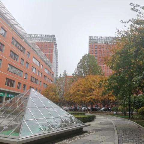 泰达大街最新动态