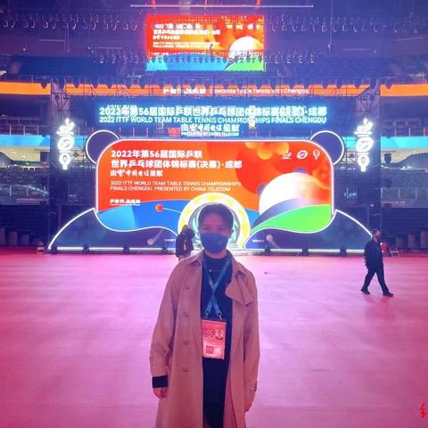 世乒赛前瞻，最新动态与乒乓球盛事概览（2025）