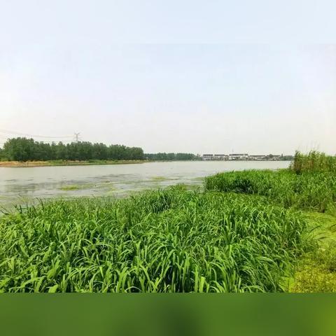 王源最新周记曝光，记录生活点滴