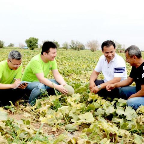 科技农业新篇章，超级大农民最新章节阅读
