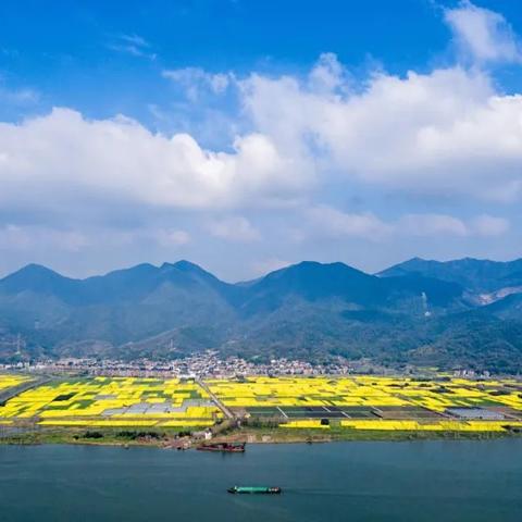 科技农业新篇章,超级大农民最新章节阅读