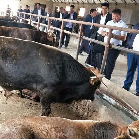 科技农业新篇章,超级大农民最新章节阅读