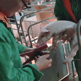 数字化时代骗保新动向，欺诈手段与防范策略解析